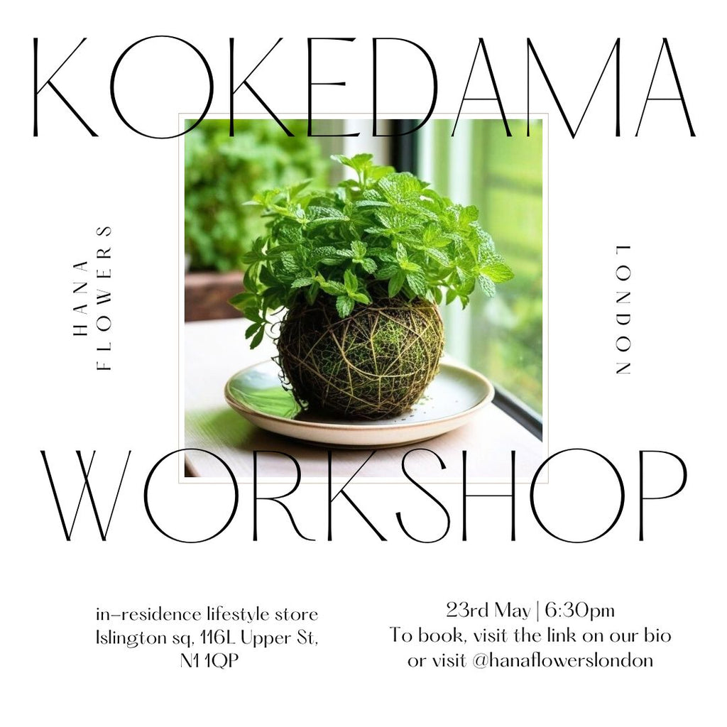 Kokedama Workshop | 23 May 2025