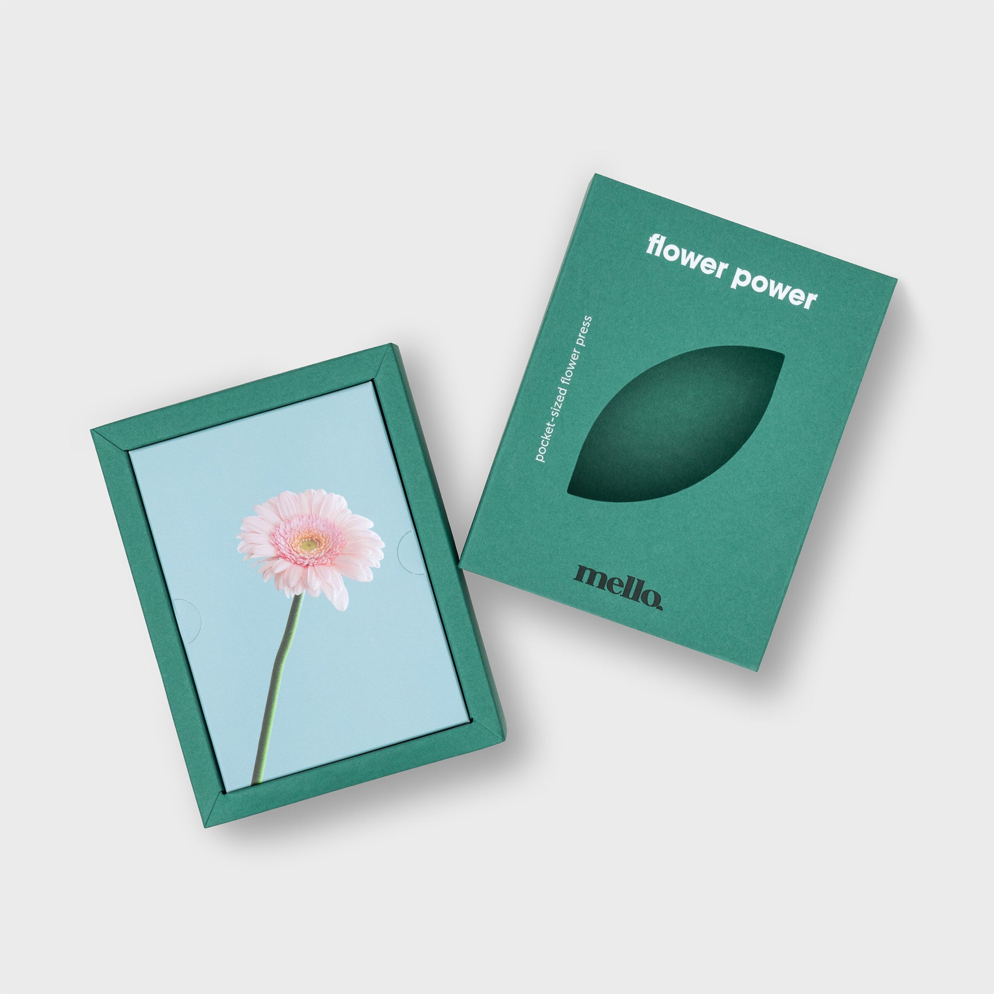 MELLO | Flower Power