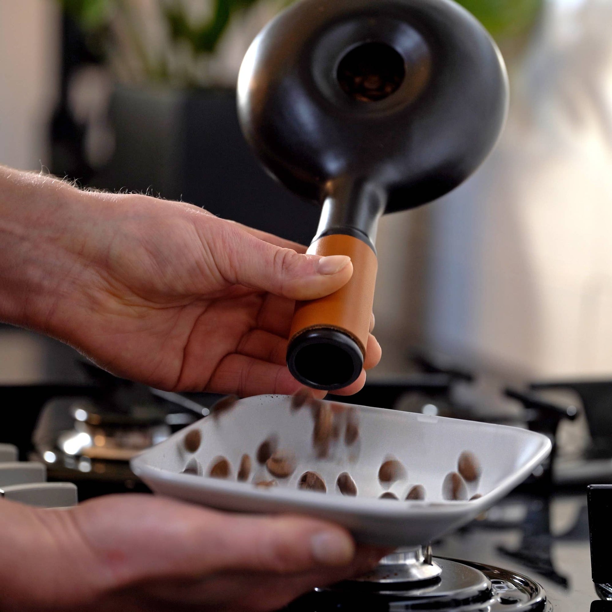 Artisan Coffee Roasting Set