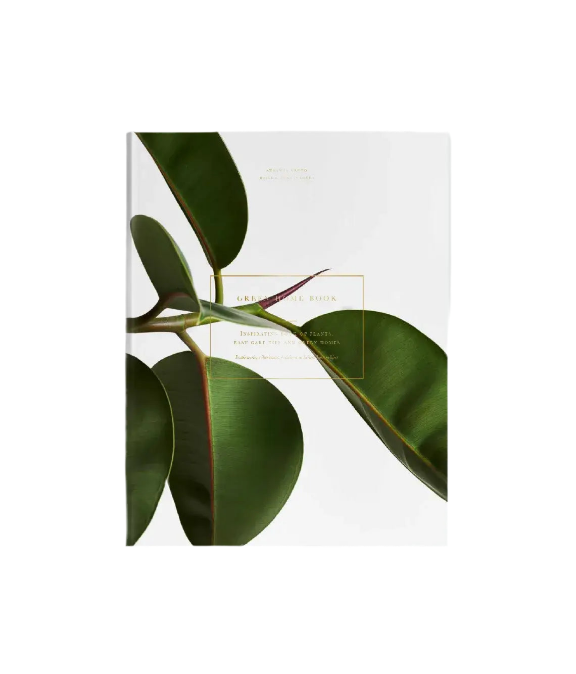 COZY Publishing | Green Home Book