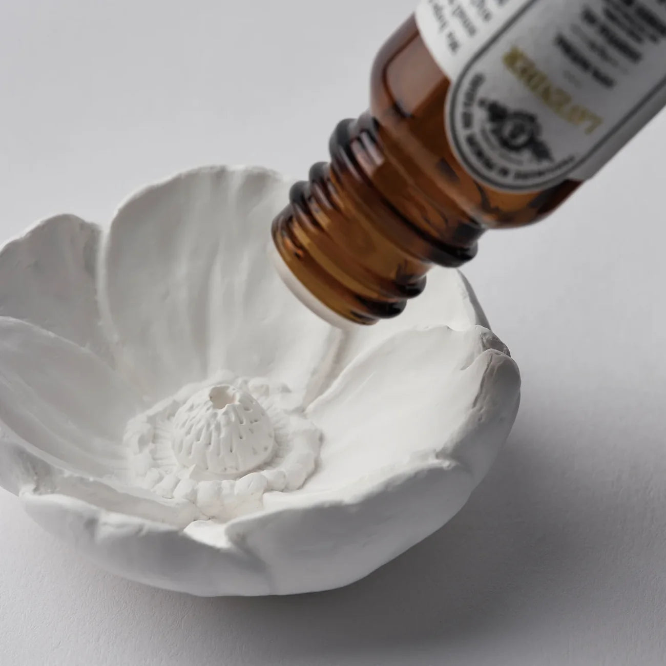 Plaster Incense Holder | Anemone Flower