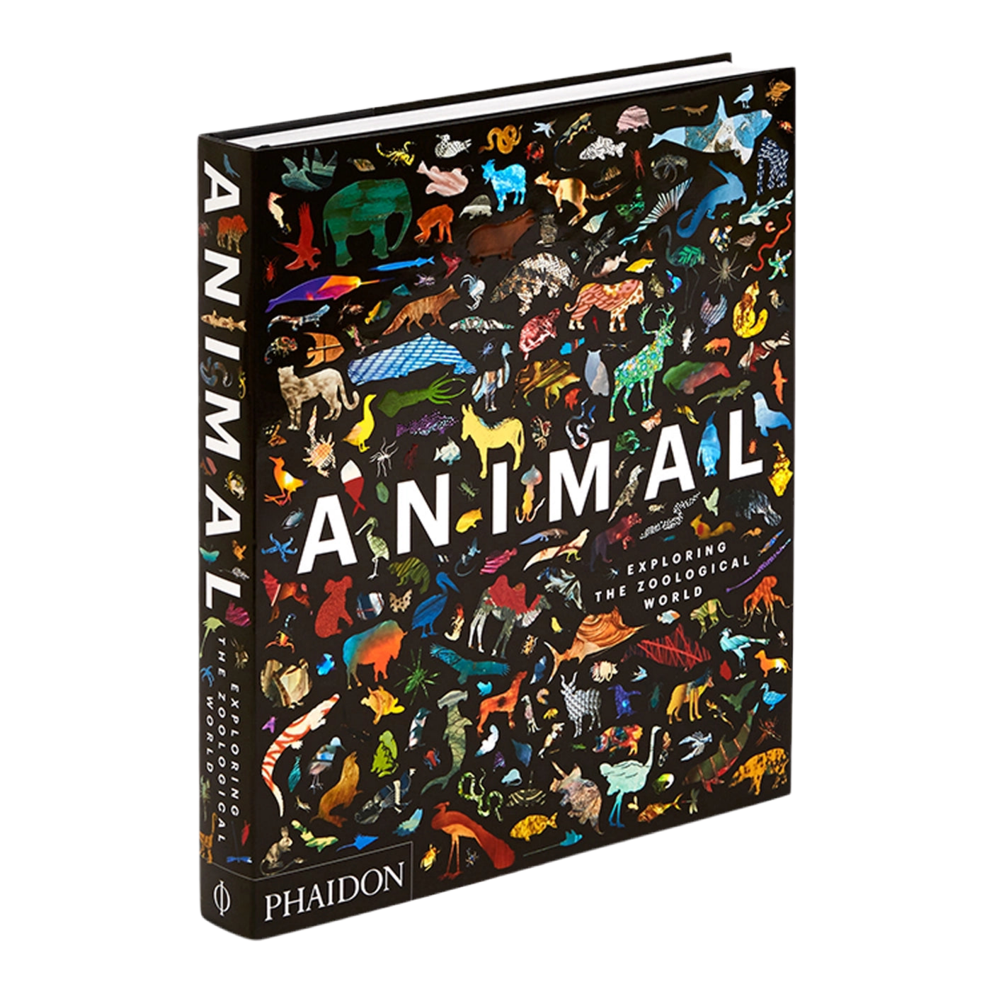 Animal: Exploring the Zoological World