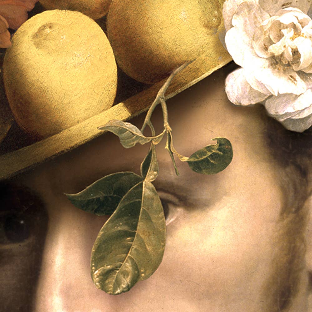 IBRIDE | ABEL Rectangular Tray