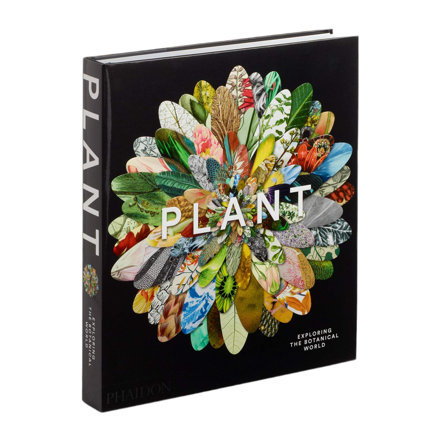 PLANT: Exploring The Botanical World