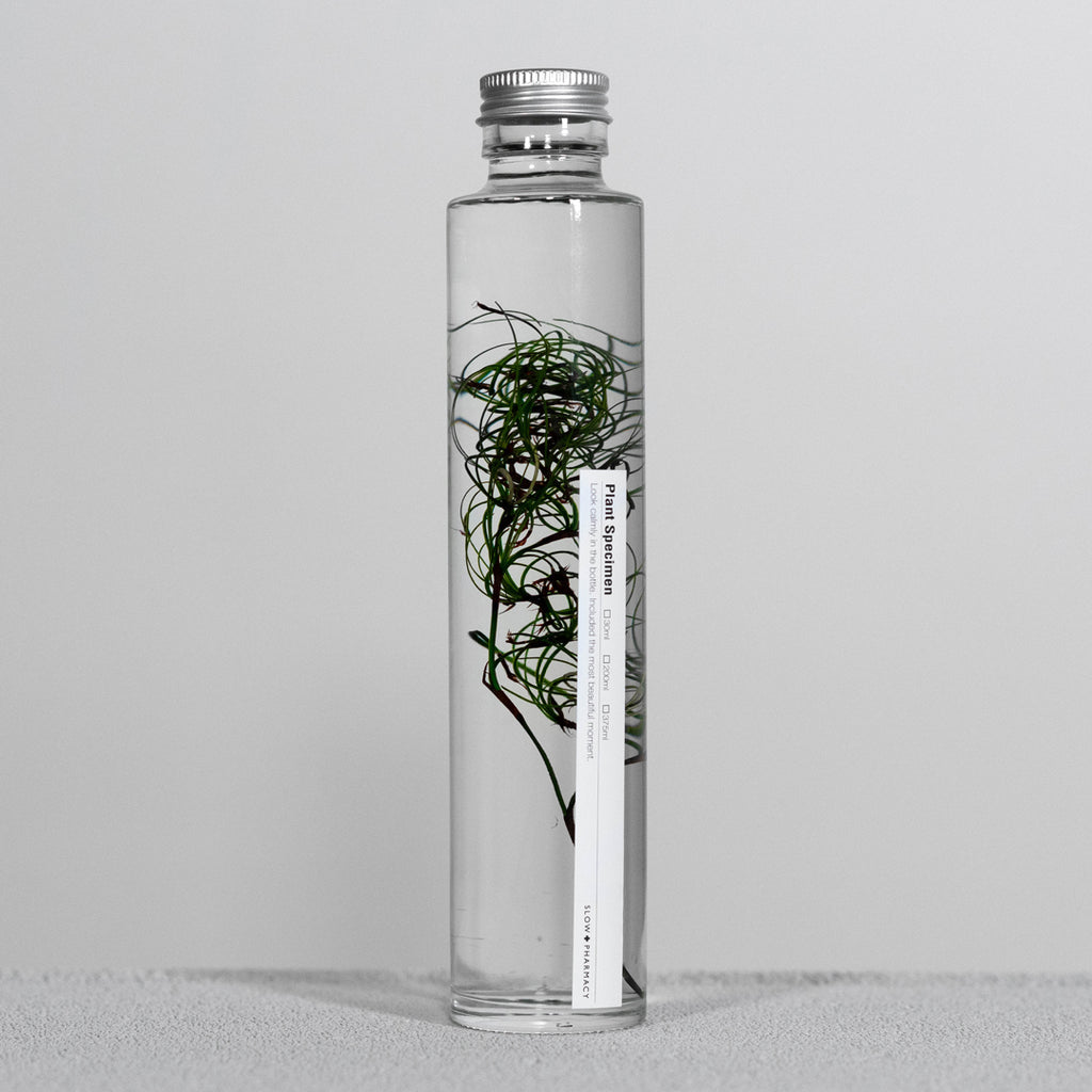 SLOW PHARMACY Bottle Plant Specimen 010 | Goanacrow