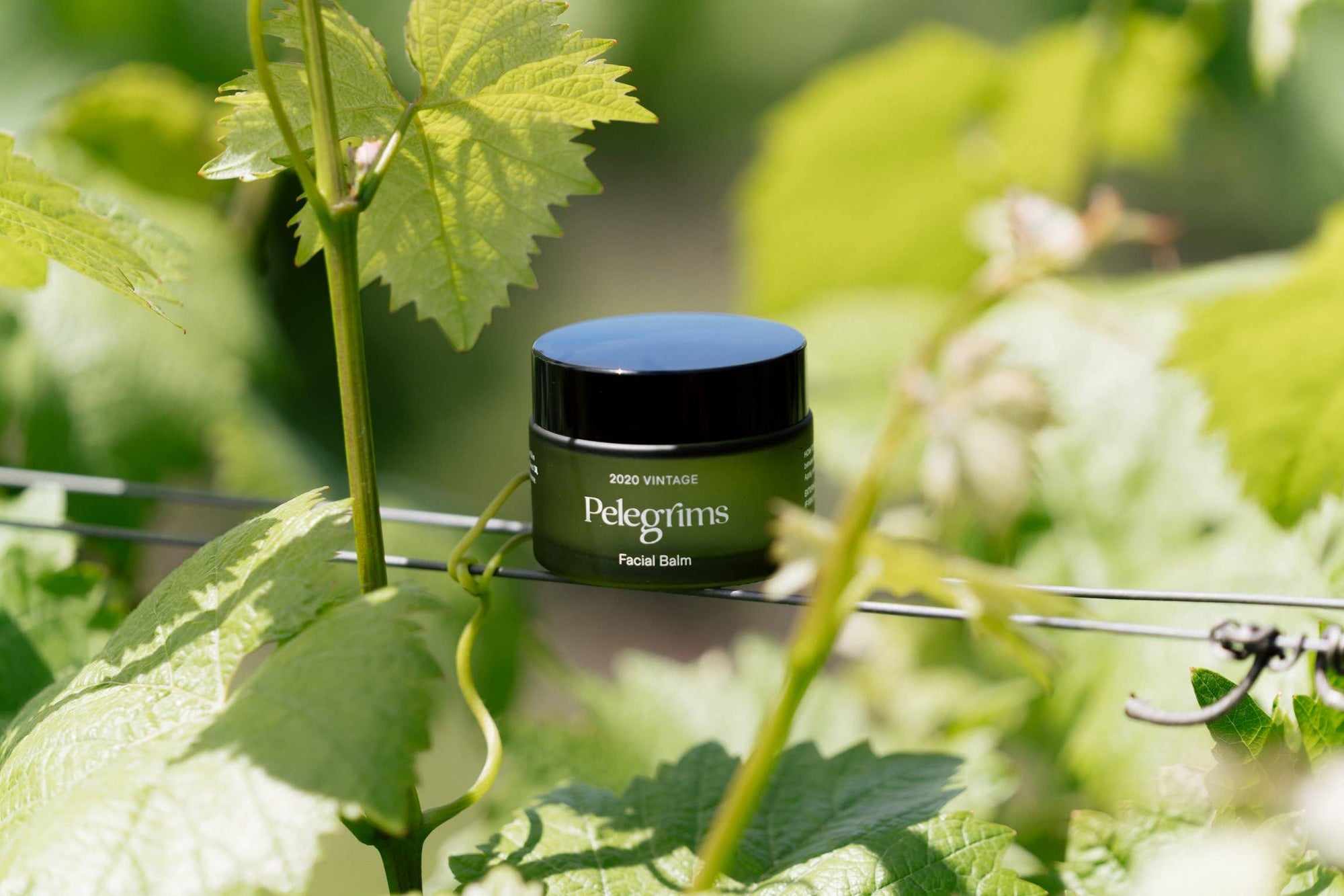 PELEGRIMS | Facial Balm