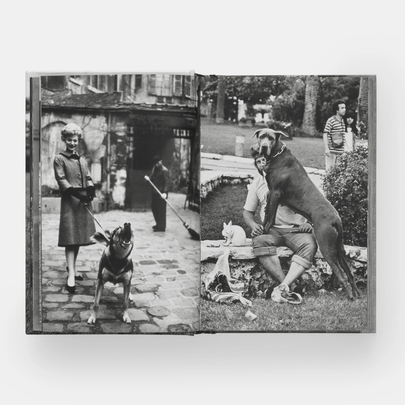 Dog Dogs | Elliott Erwitt with text by P G Wodehouse