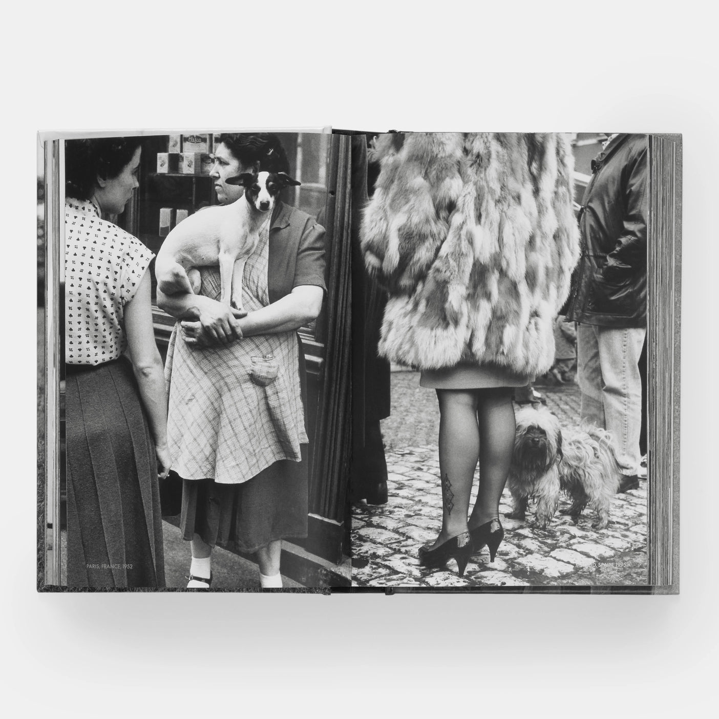 Dog Dogs | Elliott Erwitt with text by P G Wodehouse