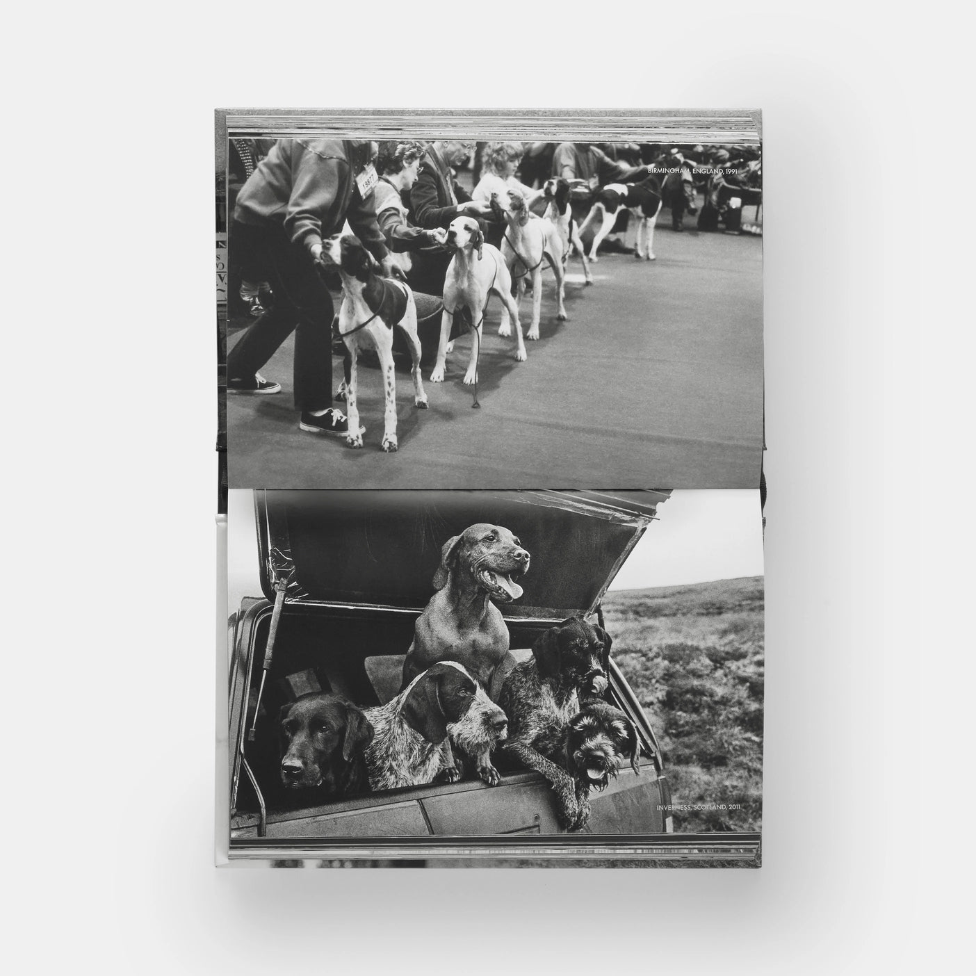 Dog Dogs | Elliott Erwitt with text by P G Wodehouse
