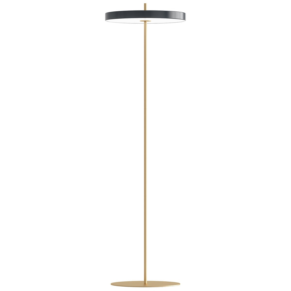 UMAGE Asteria Floor Lamp | Anthracite