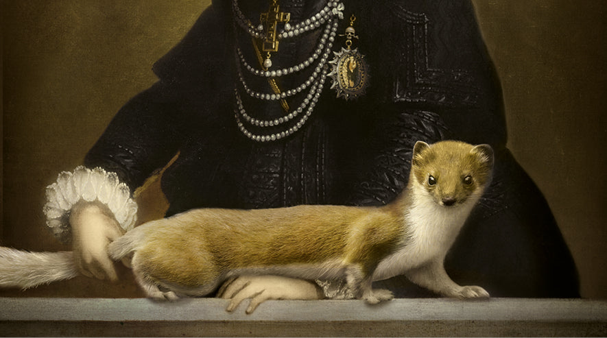 Tassi | IBRIDE Portrait Collector | Large