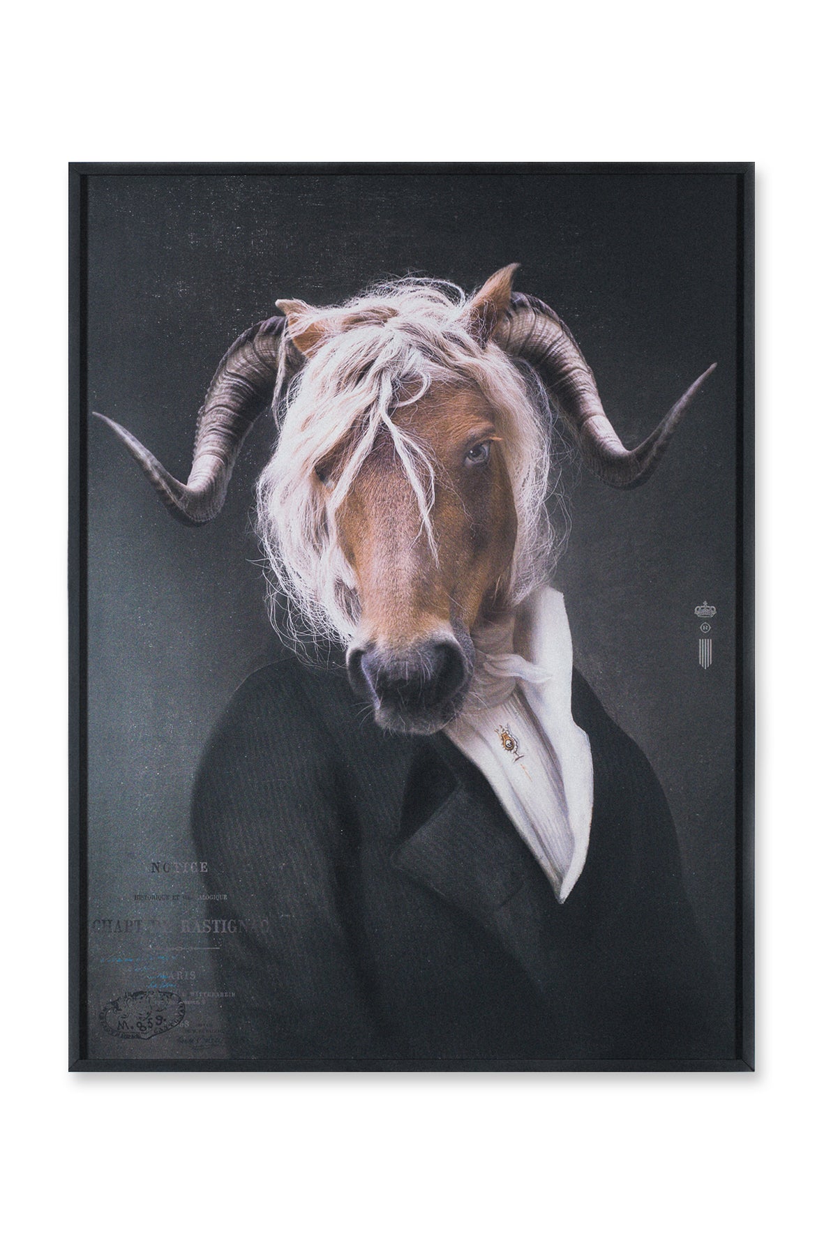 RASTIGNAC | IBRIDE Limited Edition Wall Art