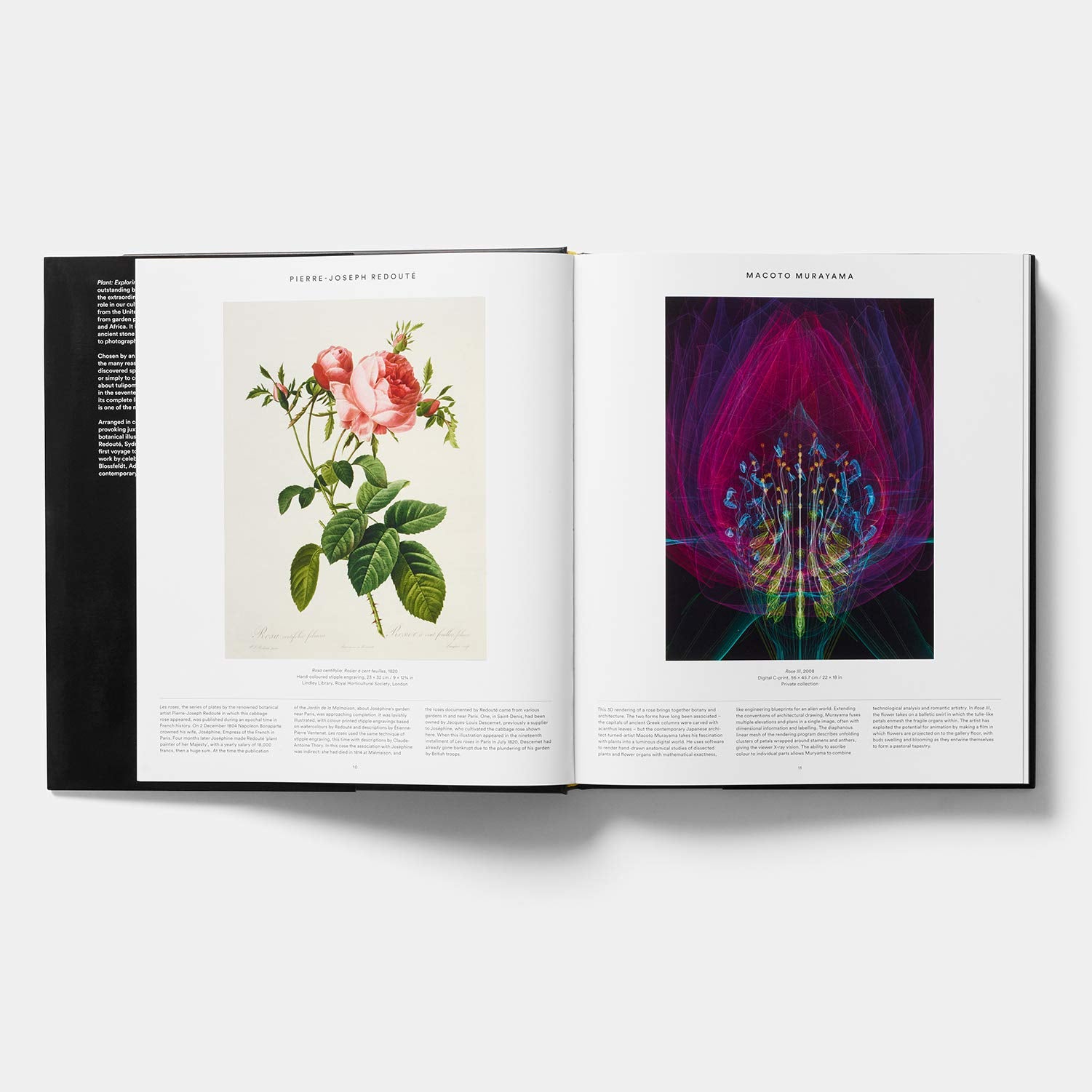 PLANT: Exploring The Botanical World