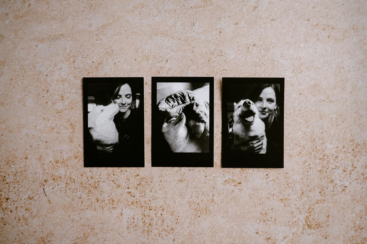 Nested Subcollection - Arts & Prints: Wall Art