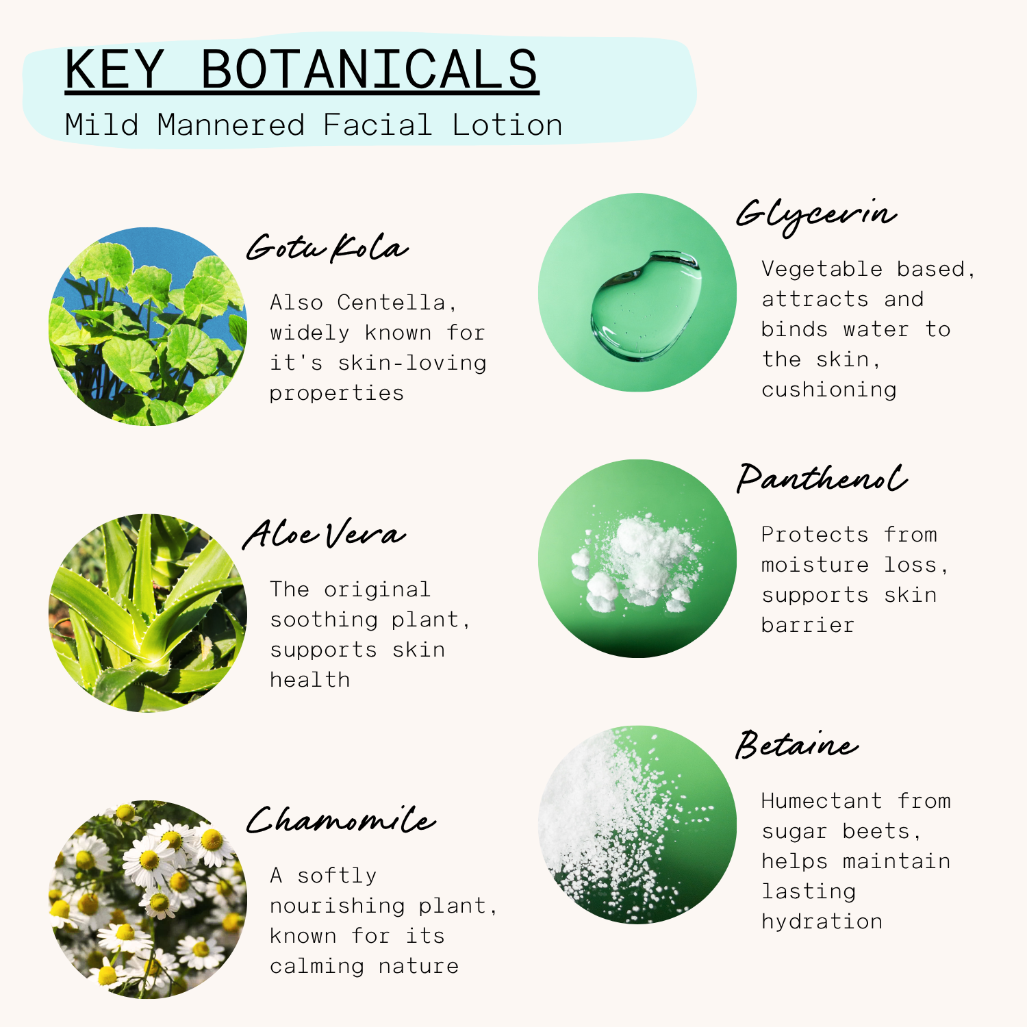 'Mild Mannered' Hydrating Facial Lotion | 60ml