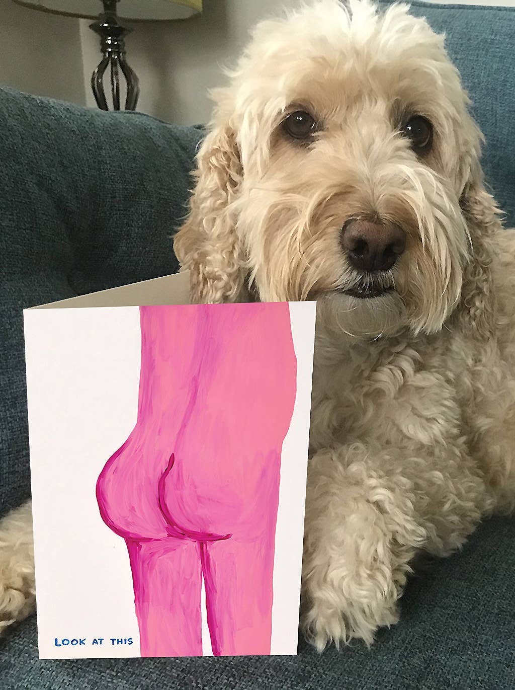 DAVID SHRIGLEY | 'Look At This Bum' Greeting Card