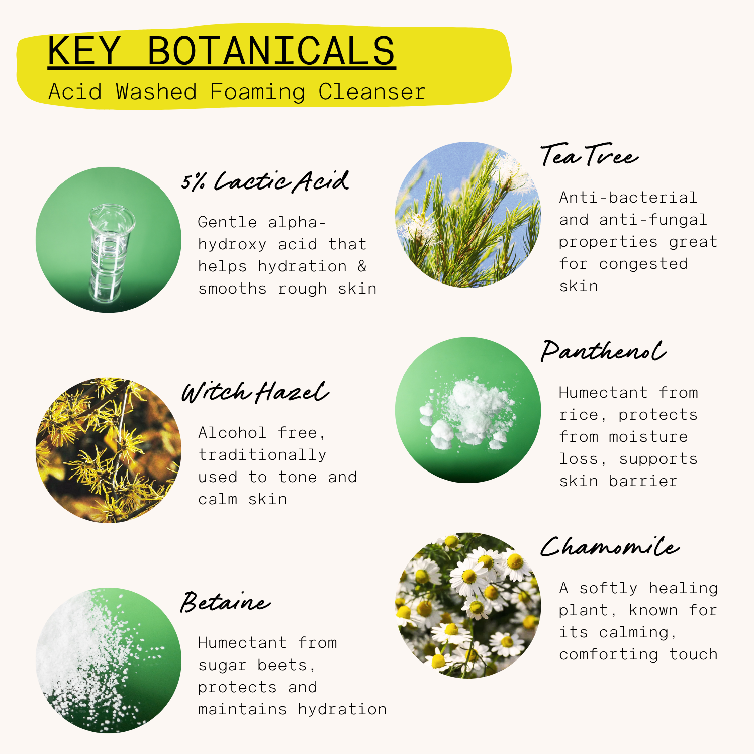 'Acid Washed' Foaming 5% AHA Gel Cleanser | 120ml