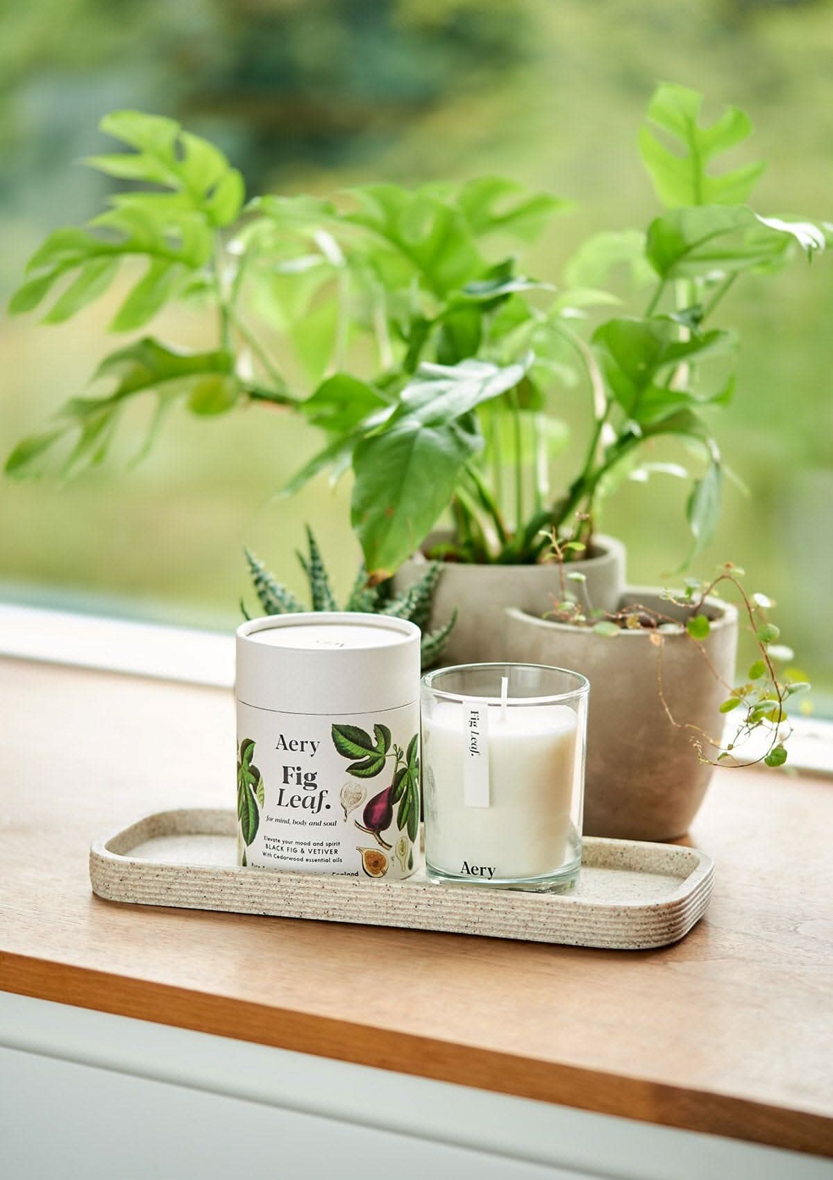 Aery Fig Leaf Candle | 200g