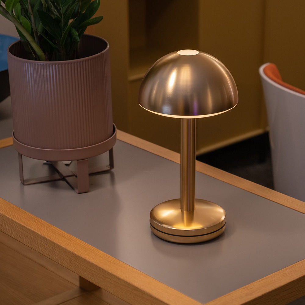 HUMBLE BUG | Gold