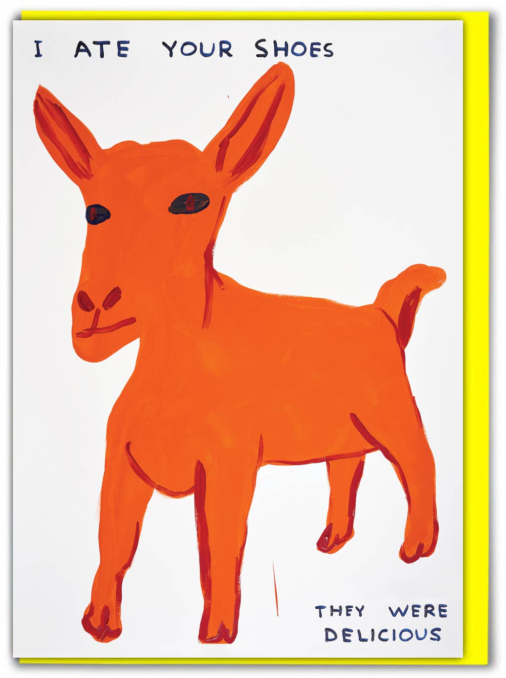 DAVID SHRIGLEY | 'Ate Your Shoes'