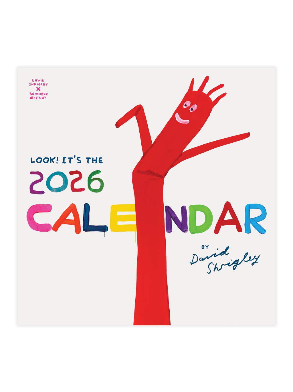 David Shrigley Official and Exclusive 2026 Wall Calendar