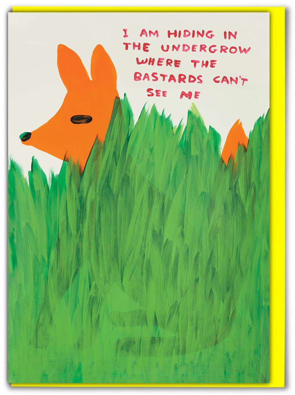 David Shrigley | 'Bastards Can't See' Greeting Card