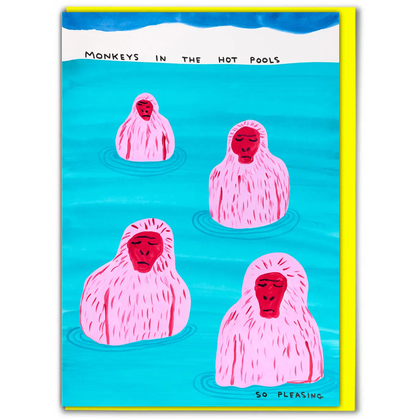 DAVID SHRIGLEY | 'Monkeys In Pool' Greeting Card
