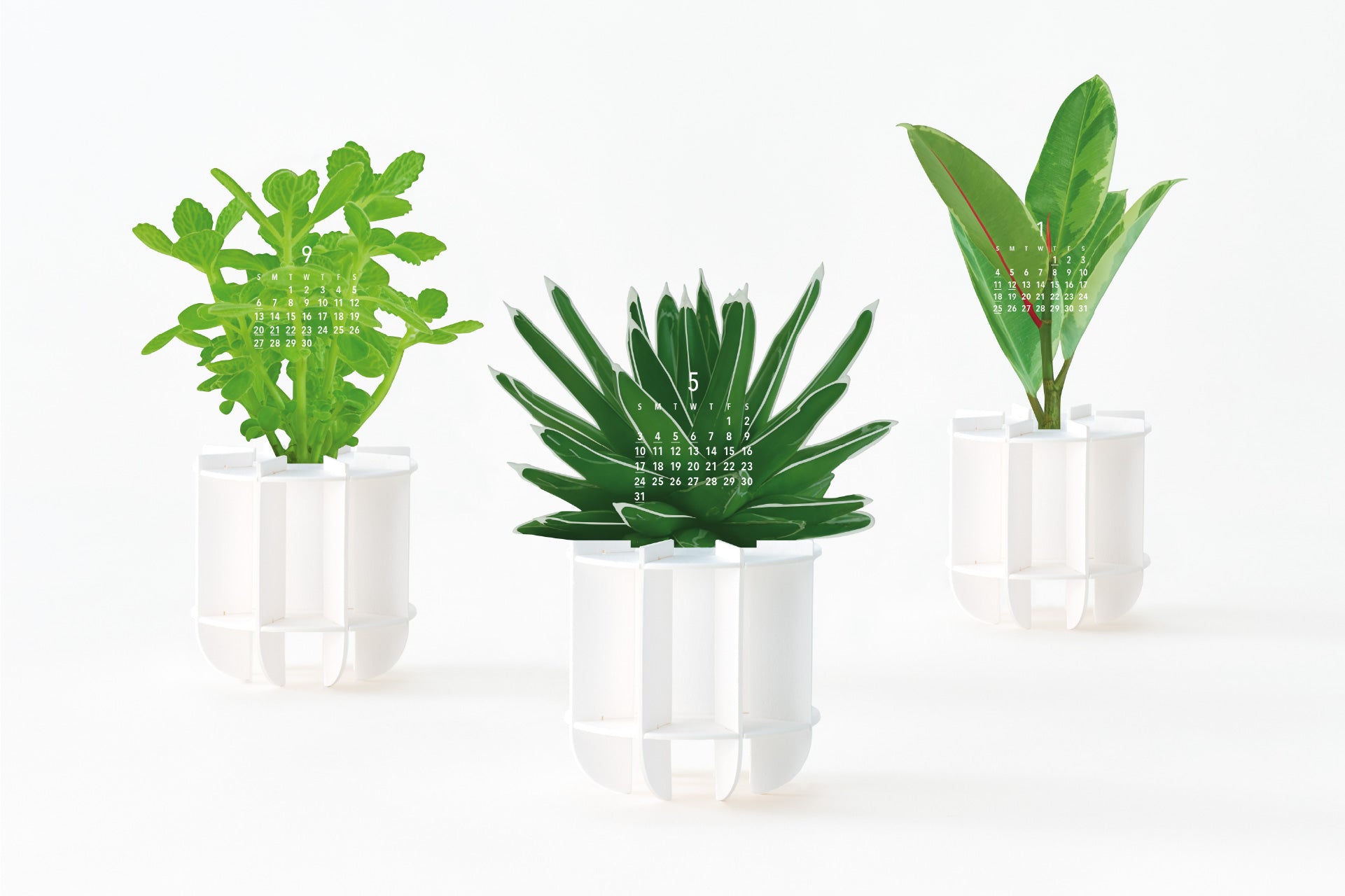 good morning inc. | Green 2026 Calendar