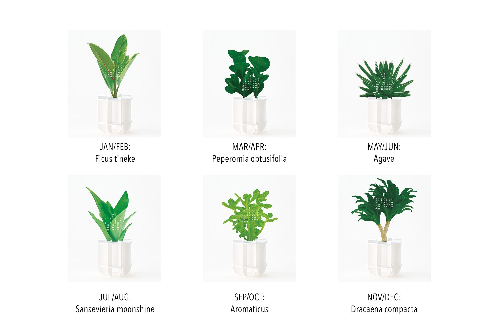 good morning inc. | Green 2026 Calendar