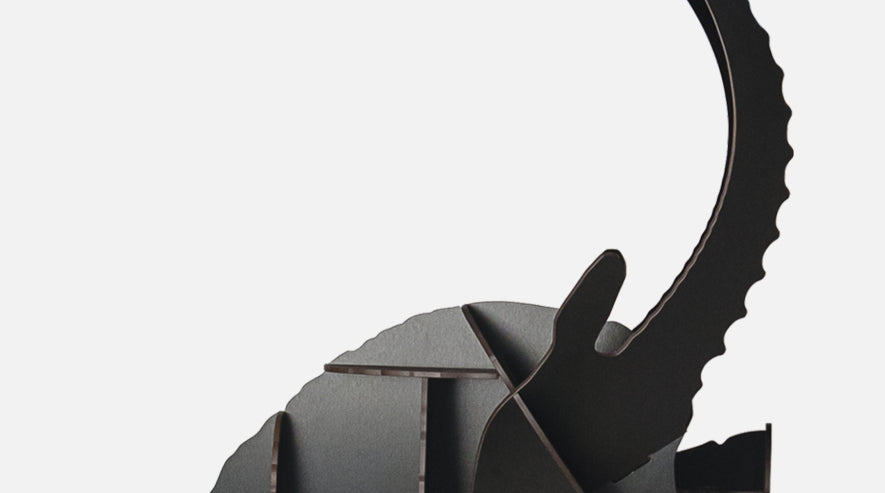 IBRIDE | FAUSTO Ibex Wall Storage