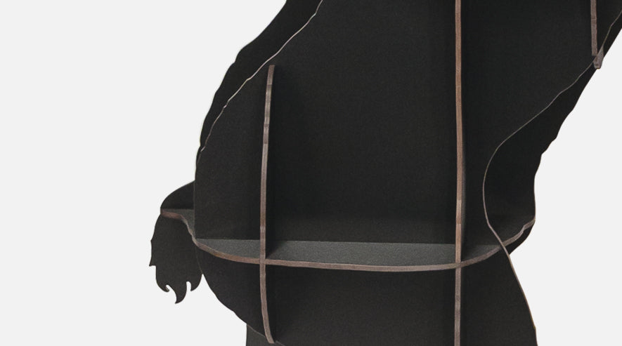 IBRIDE | FAUSTO Ibex Wall Storage