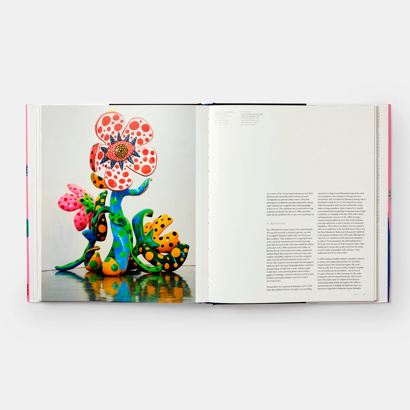 YAYOI KUSAMA | Revised and Expanded Edition